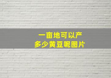 一亩地可以产多少黄豆呢图片