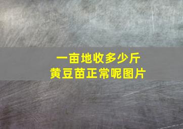 一亩地收多少斤黄豆苗正常呢图片