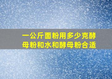 一公斤面粉用多少克酵母粉和水和酵母粉合适