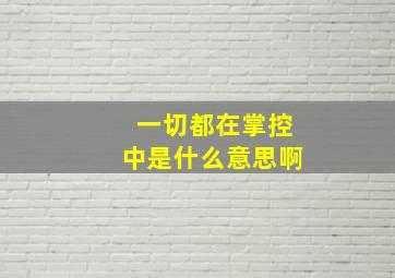 一切都在掌控中是什么意思啊