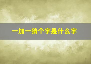 一加一猜个字是什么字