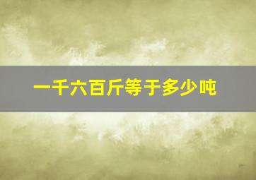 一千六百斤等于多少吨