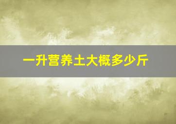 一升营养土大概多少斤