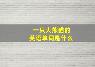 一只大熊猫的英语单词是什么