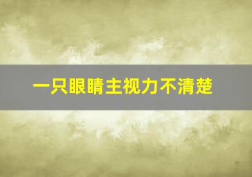 一只眼睛主视力不清楚