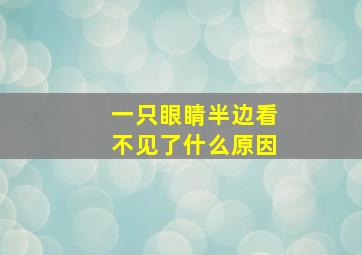 一只眼睛半边看不见了什么原因