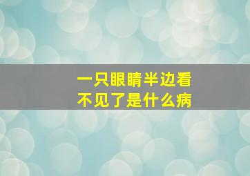 一只眼睛半边看不见了是什么病