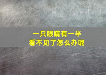 一只眼睛有一半看不见了怎么办呢