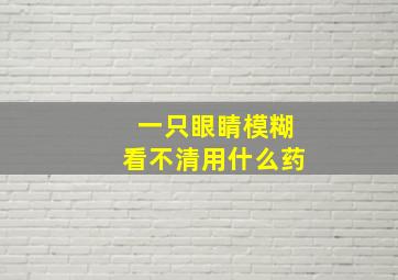 一只眼睛模糊看不清用什么药