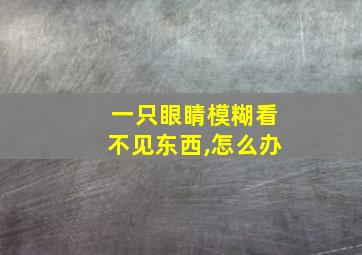 一只眼睛模糊看不见东西,怎么办