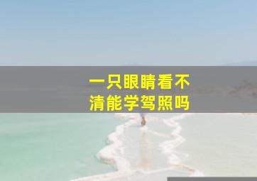 一只眼睛看不清能学驾照吗