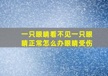 一只眼睛看不见一只眼睛正常怎么办眼睛受伤