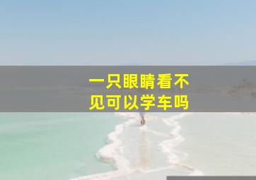 一只眼睛看不见可以学车吗