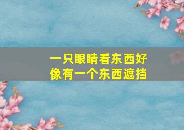 一只眼睛看东西好像有一个东西遮挡