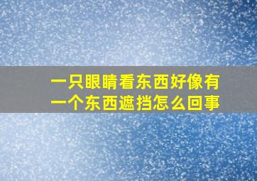 一只眼睛看东西好像有一个东西遮挡怎么回事