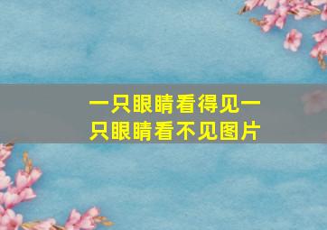 一只眼睛看得见一只眼睛看不见图片