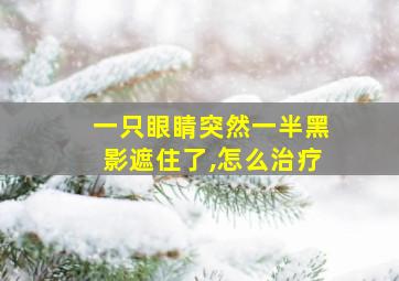 一只眼睛突然一半黑影遮住了,怎么治疗