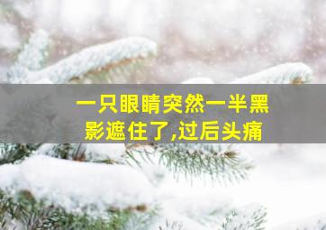 一只眼睛突然一半黑影遮住了,过后头痛