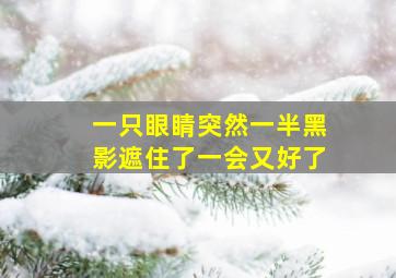 一只眼睛突然一半黑影遮住了一会又好了