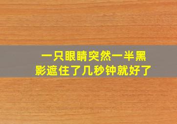 一只眼睛突然一半黑影遮住了几秒钟就好了