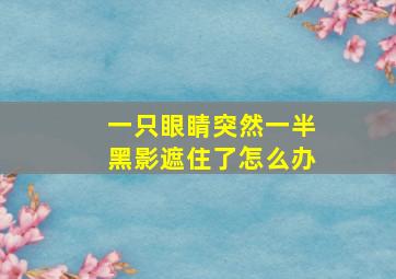 一只眼睛突然一半黑影遮住了怎么办