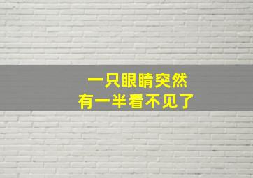 一只眼睛突然有一半看不见了