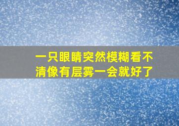 一只眼睛突然模糊看不清像有层雾一会就好了