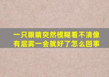 一只眼睛突然模糊看不清像有层雾一会就好了怎么回事