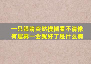 一只眼睛突然模糊看不清像有层雾一会就好了是什么病