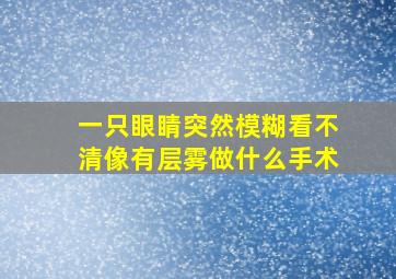 一只眼睛突然模糊看不清像有层雾做什么手术