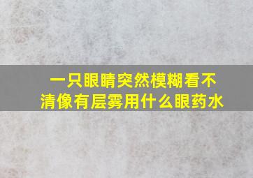 一只眼睛突然模糊看不清像有层雾用什么眼药水