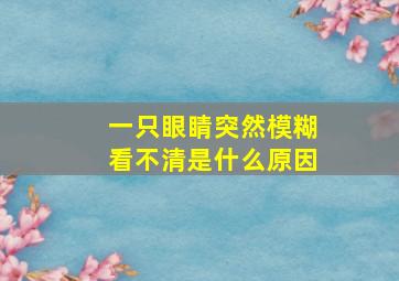 一只眼睛突然模糊看不清是什么原因