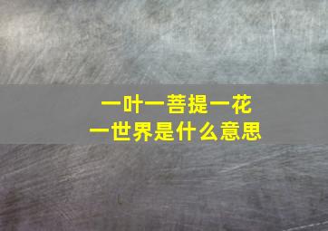 一叶一菩提一花一世界是什么意思