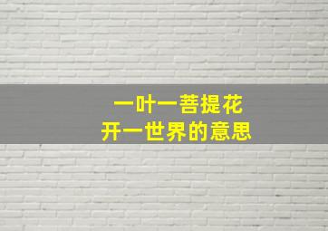 一叶一菩提花开一世界的意思