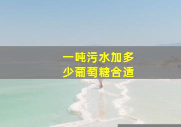 一吨污水加多少葡萄糖合适