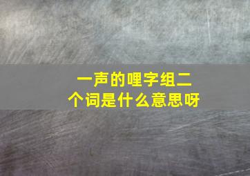 一声的哩字组二个词是什么意思呀