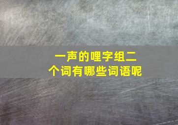 一声的哩字组二个词有哪些词语呢