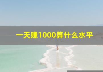 一天赚1000算什么水平