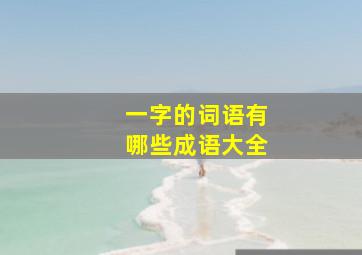 一字的词语有哪些成语大全