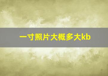 一寸照片大概多大kb