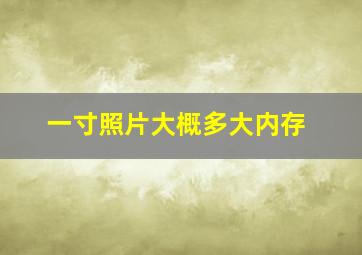 一寸照片大概多大内存