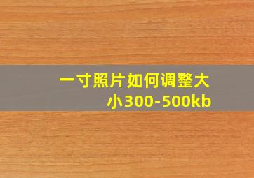 一寸照片如何调整大小300-500kb