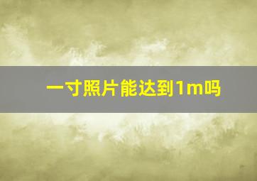 一寸照片能达到1m吗