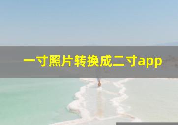 一寸照片转换成二寸app