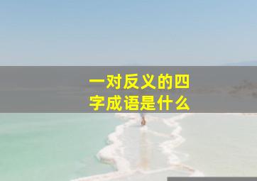 一对反义的四字成语是什么