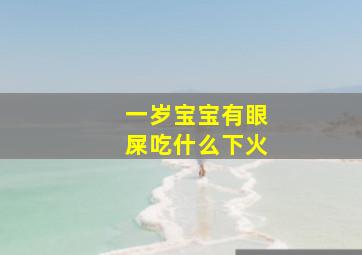 一岁宝宝有眼屎吃什么下火