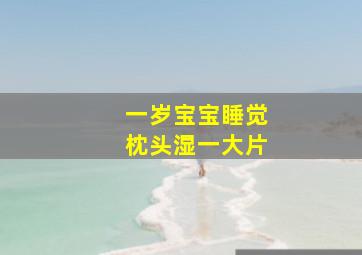 一岁宝宝睡觉枕头湿一大片