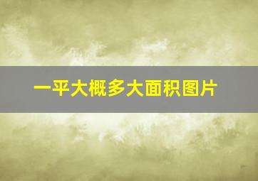 一平大概多大面积图片