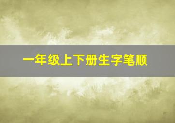 一年级上下册生字笔顺