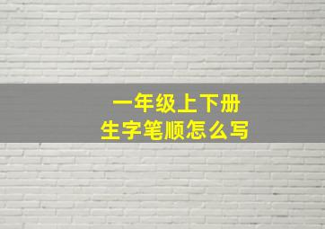 一年级上下册生字笔顺怎么写